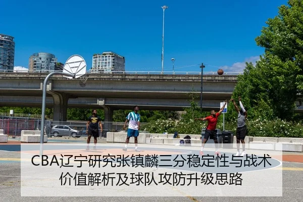 CBA辽宁研究张镇麟三分稳定性与战术价值解析及球队攻防升级思路